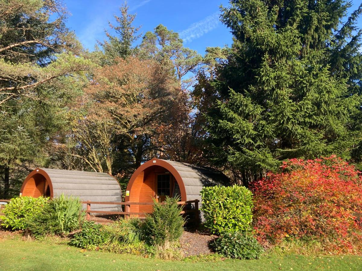 Glamping Hut - By The Way Campsite Tyndrum Exteriér fotografie